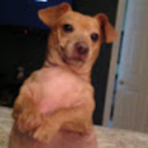 Meet your Posher, Mike